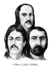 hcc